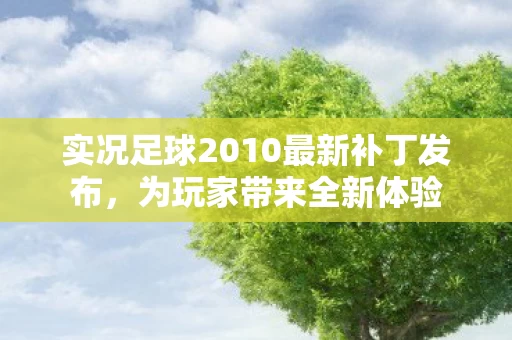 实况足球2010最新补丁发布图片