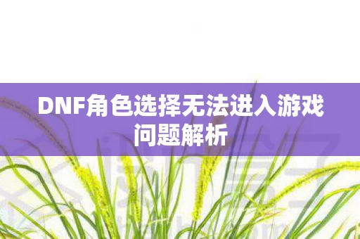 DNF角色选择无法进入游戏问题解析图片