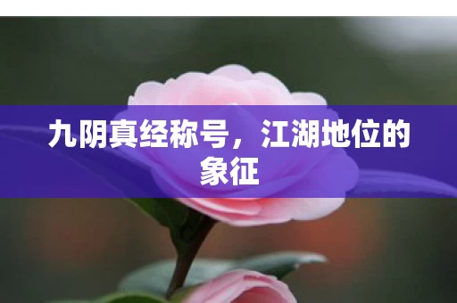 江湖地位的象征图片