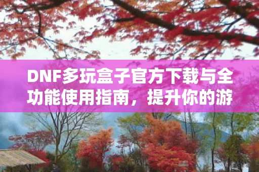 DNF多玩盒子官方下载与全功能使用指南图片