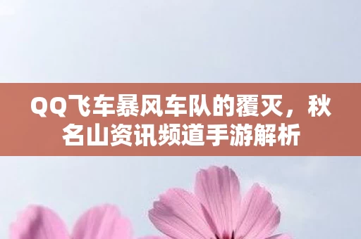 QQ飞车暴风车队的覆灭图片
