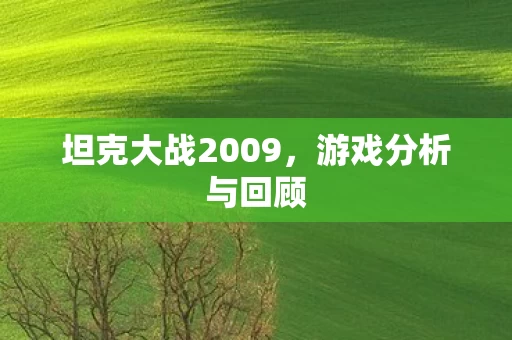 坦克大战2009图片