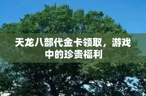 天龙八部代金卡领取图片