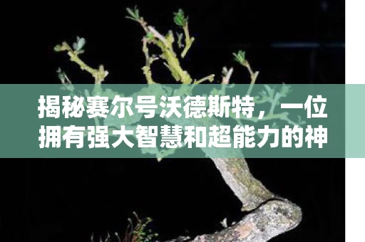 一位拥有强大智慧和超能力的神秘精灵图片