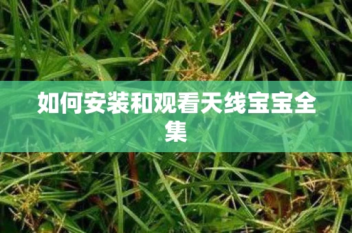 如何安装和观看天线宝宝全集图片
