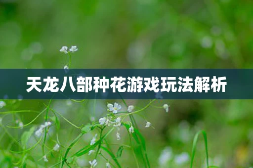 天龙八部种花游戏玩法解析图片