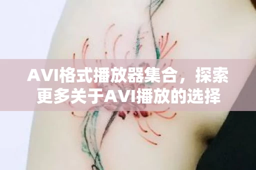 探索更多关于AVI播放的选择图片