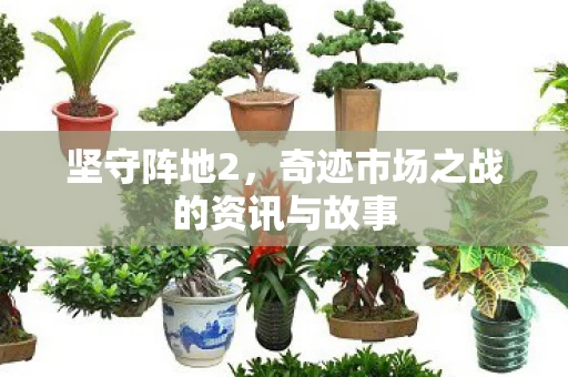 奇迹市场之战的资讯与故事图片