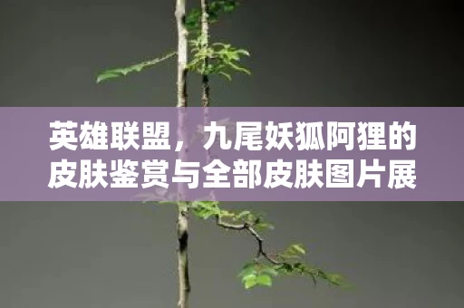 九尾妖狐阿狸的皮肤鉴赏与全部皮肤图片展示图片