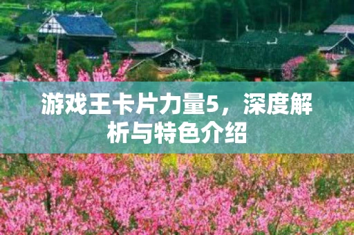 深度解析与特色介绍图片