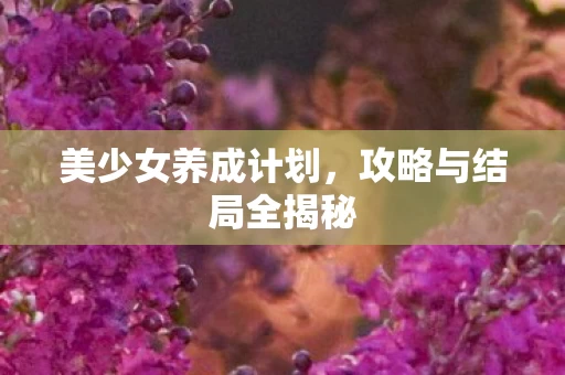 攻略与结局全揭秘图片