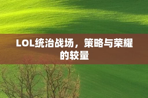 策略与荣耀的较量图片