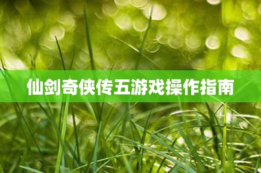 仙剑奇侠传五游戏操作指南图片