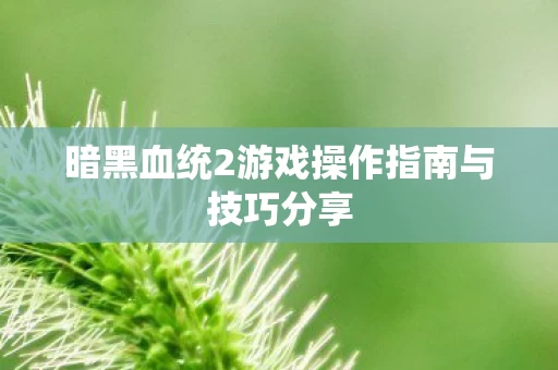 暗黑血统2游戏操作指南与技巧分享图片