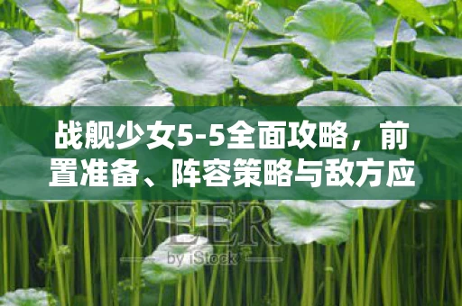 阵容策略与敌方应对图片