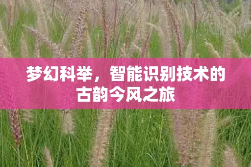 智能识别技术的古韵今风之旅图片