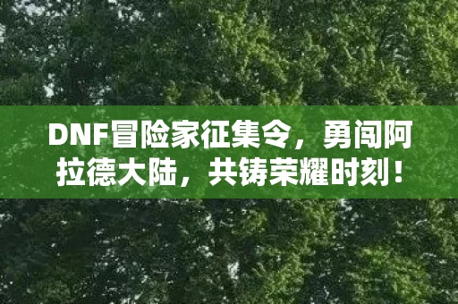 DNF冒险家征集令图片