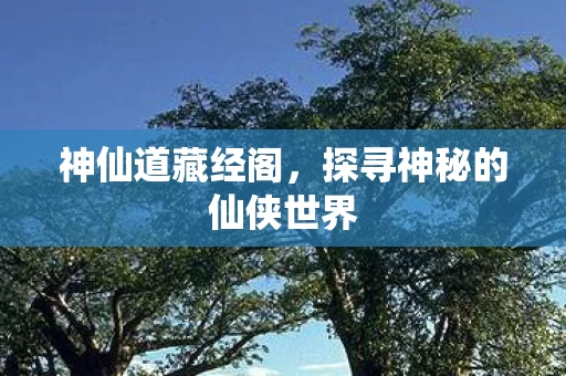 探寻神秘的仙侠世界图片