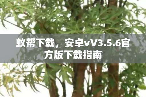 6官方版下载指南图片