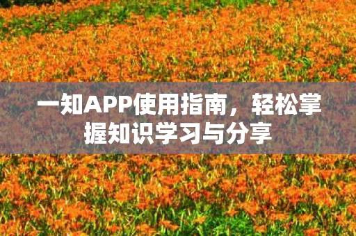 轻松掌握知识学习与分享图片