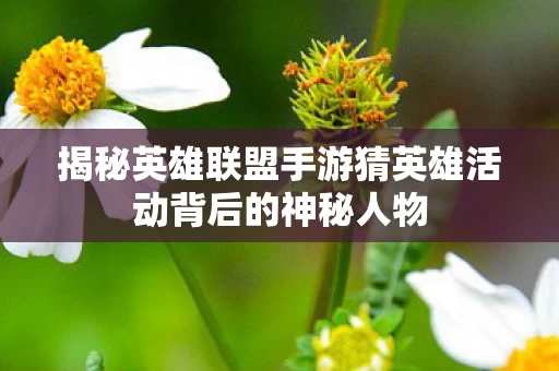 揭秘英雄联盟手游猜英雄活动背后的神秘人物图片