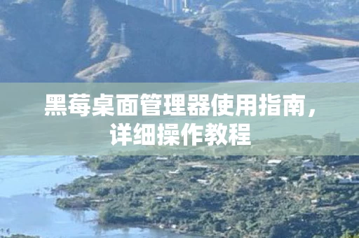 黑莓桌面管理器使用指南图片