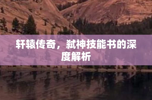 弑神技能书的深度解析图片