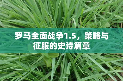策略与征服的史诗篇章图片