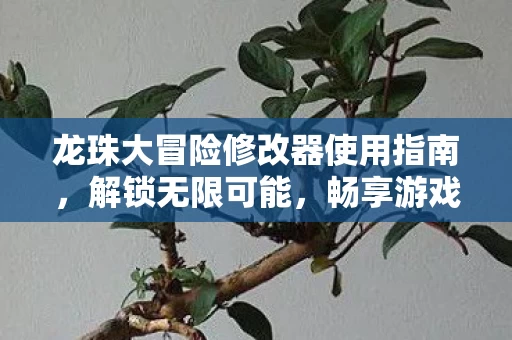 龙珠大冒险修改器使用指南图片