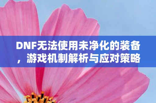 DNF无法使用未净化的装备图片