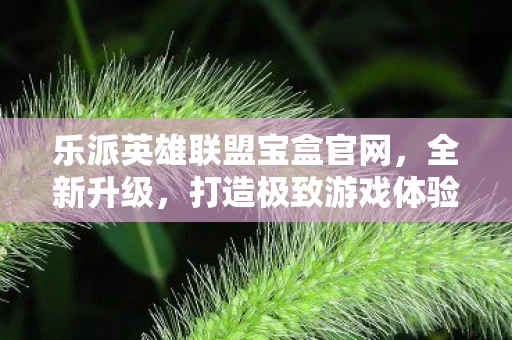 乐派英雄联盟宝盒官网图片