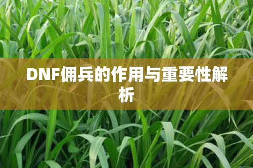 DNF佣兵的作用与重要性解析图片