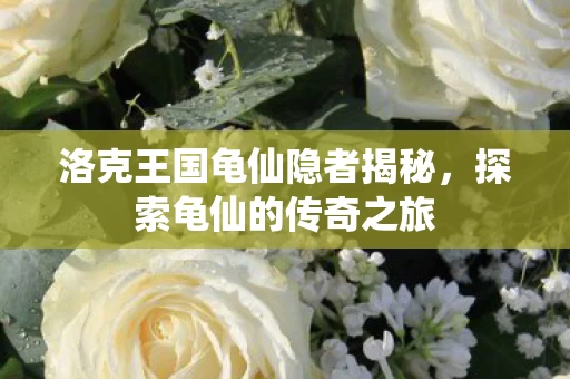 洛克王国龟仙隐者揭秘图片