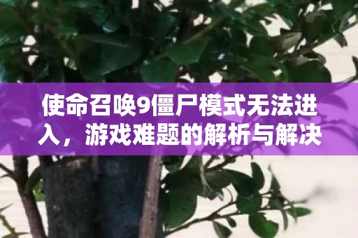 使命召唤9僵尸模式无法进入图片