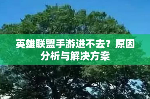 英雄联盟手游进不去图片