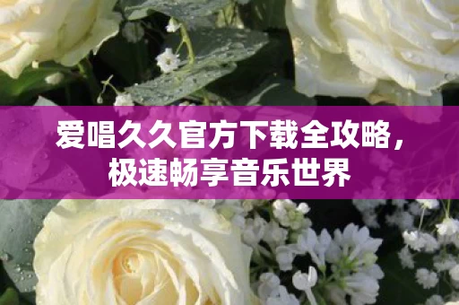 爱唱久久官方下载全攻略图片