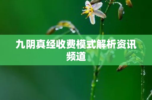 九阴真经收费模式解析资讯频道图片