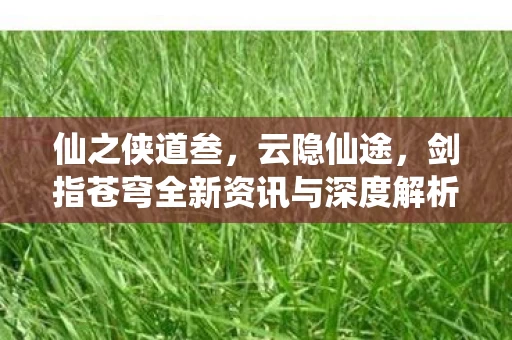 剑指苍穹全新资讯与深度解析图片