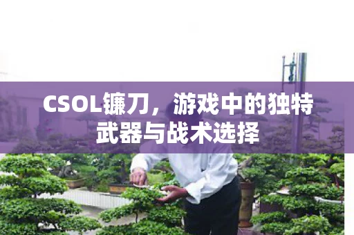 游戏中的独特武器与战术选择图片