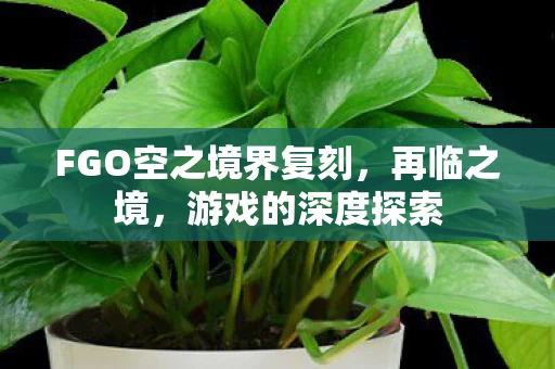 FGO空之境界复刻图片
