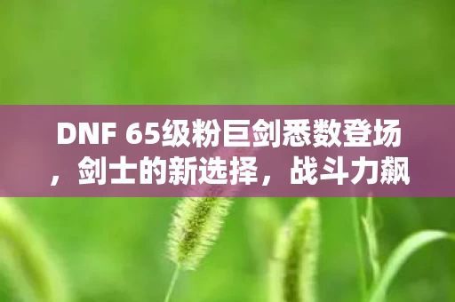 DNF 65级粉巨剑悉数登场图片