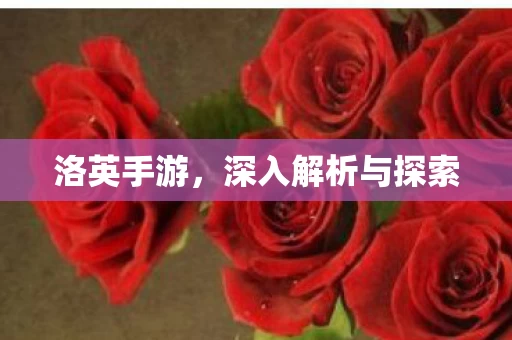 深入解析与探索图片