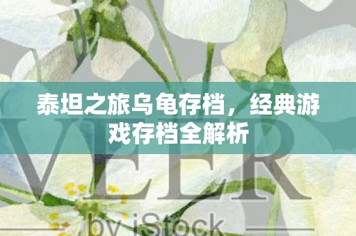经典游戏存档全解析图片