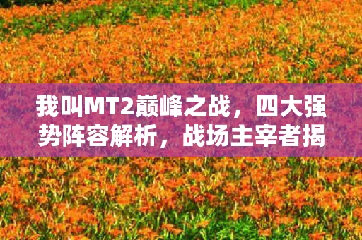 我叫MT2巅峰之战图片