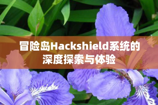 冒险岛Hackshield系统的深度探索与体验图片