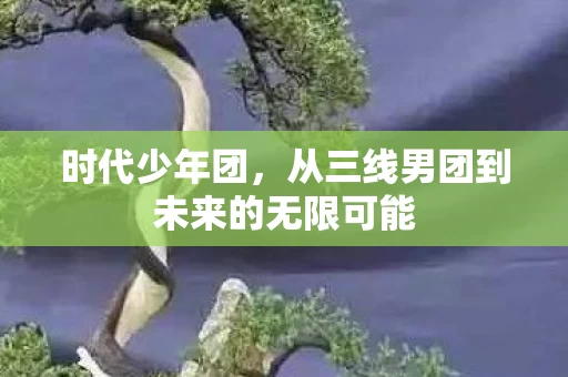 从三线男团到未来的无限可能图片