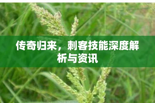 刺客技能深度解析与资讯图片