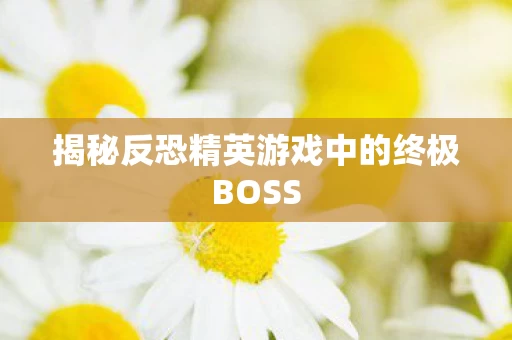 揭秘反恐精英游戏中的终极BOSS图片
