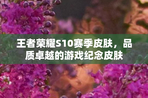 王者荣耀S10赛季皮肤图片