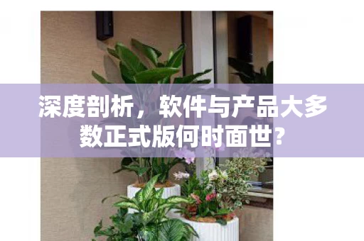 软件与产品大多数正式版何时面世图片